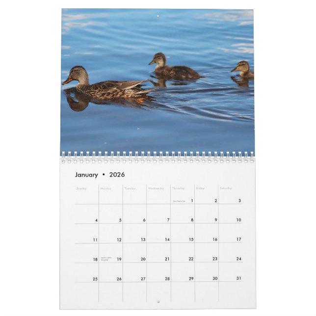 2014 canards de calendrier (Jan 2026)