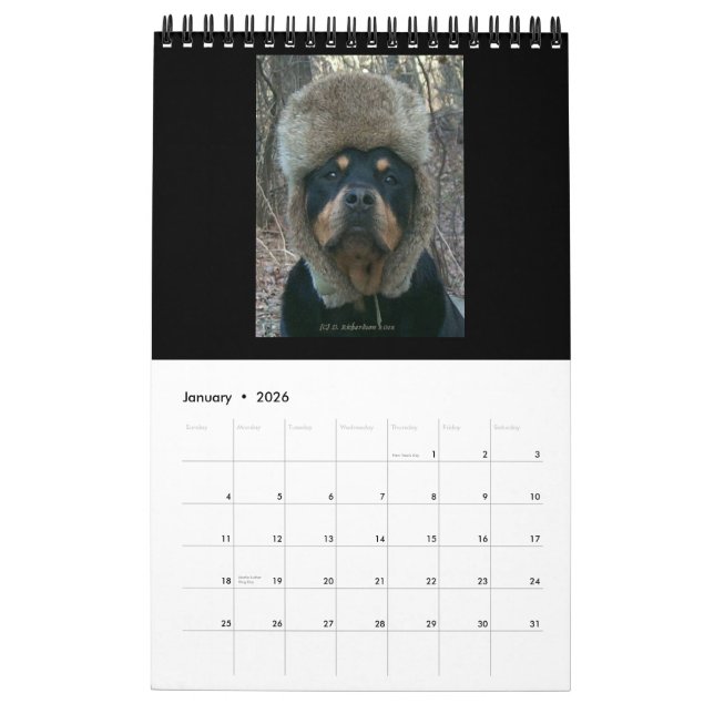 2014 rottweilers par le calendrier de Diane (Jan 2026)