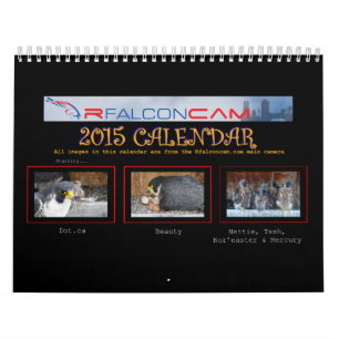 2015 calendrier - collages principaux de came