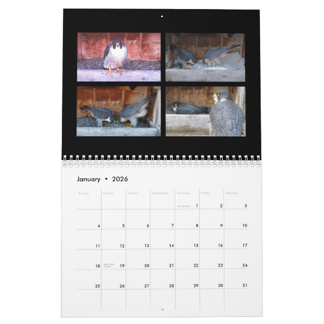 2015 calendrier - collages principaux de came (Jan 2026)