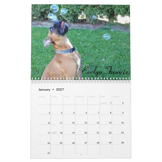 2015 calendriers maladroits de boxeur (Jan 2027)