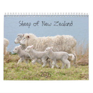 2015 moutons de calendrier de la Nouvelle Zélande