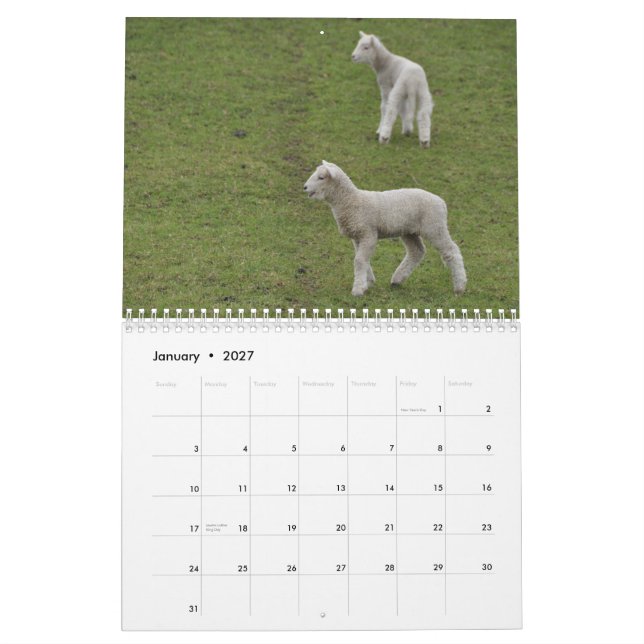 2015 moutons de calendrier de la Nouvelle Zélande (Jan 2027)
