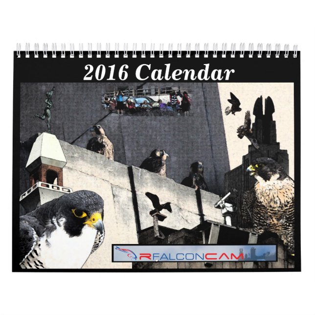 2016 calendrier - collages principaux de came (Protection)
