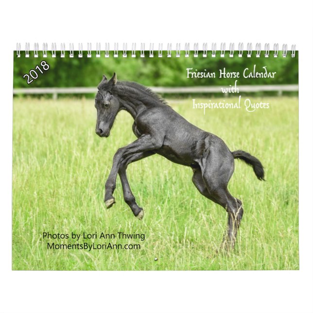 2018 calendriers frisons inspirés de cheval (Protection)