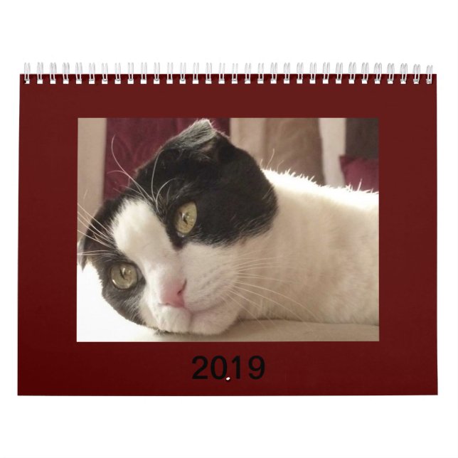2019 calendrier de chat - pli d'écossais (Protection)