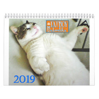 2019 CALENDRIER DE FATBOY BABUSHKA