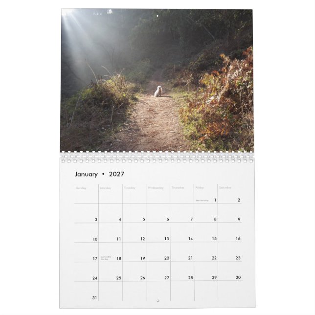 2019 calendrier de Gwendolyn - milieu (Jan 2027)