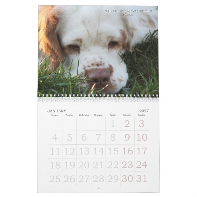 2019 calendrier d'Erinveine - épagneuls de Clumber (Jan 2027)