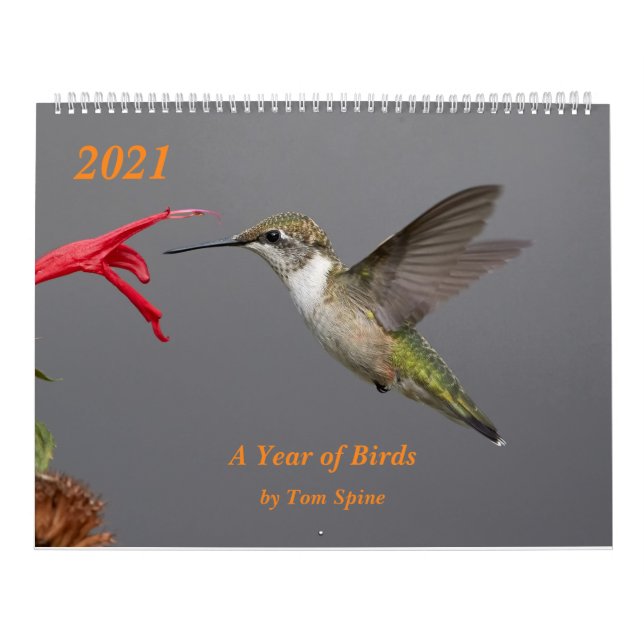 2021 ~ Calendrier de l'année des oiseaux (Protection)