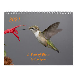 2021 ~ Calendrier de l'année des oiseaux