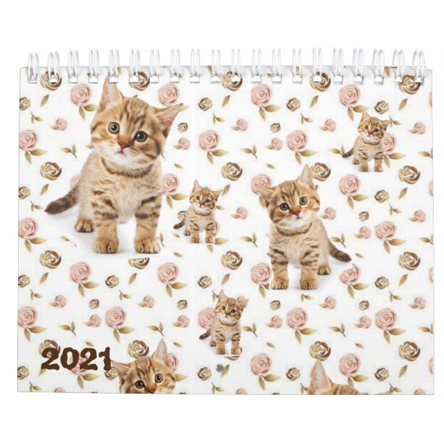 2021 Calendrier Kittens Cats (Dos)