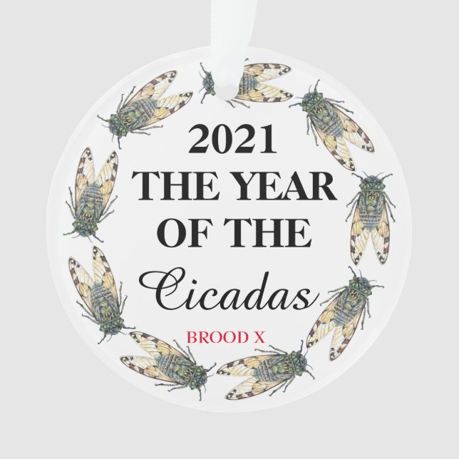 2021 L'ANNÉE DES Cicadas et Brood X (devant)