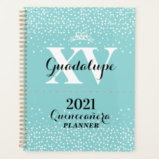 2021 Turquoise Aqua Blue Silver Parties scintillan