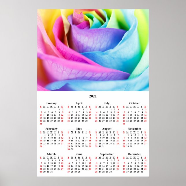 2021 Wall Calendar Poster Rose arc-en-ciel (Devant)