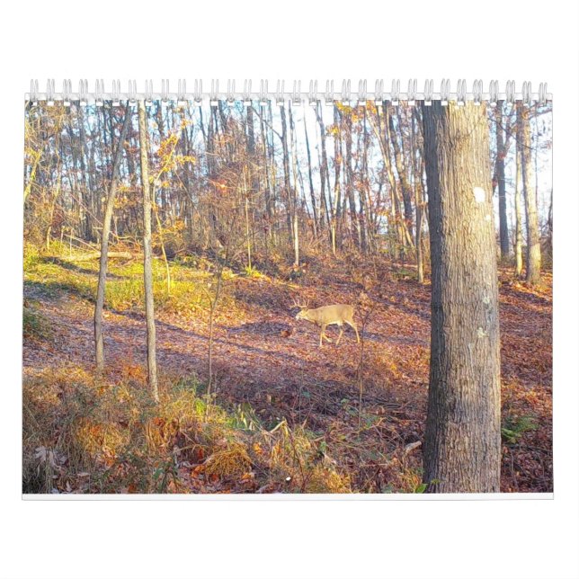 2023 Animaux de la nature Calendrier (Protection)