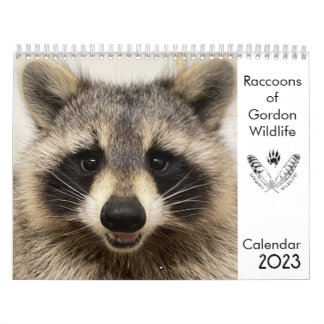 2023 Calendrier Raccoons de Gordon Wildlife