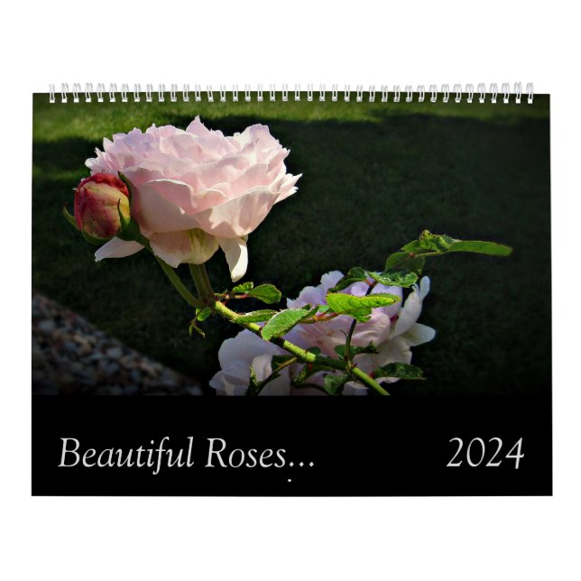 2024 Beaux Roses de deux pages Calendrier grand mu (Protection)