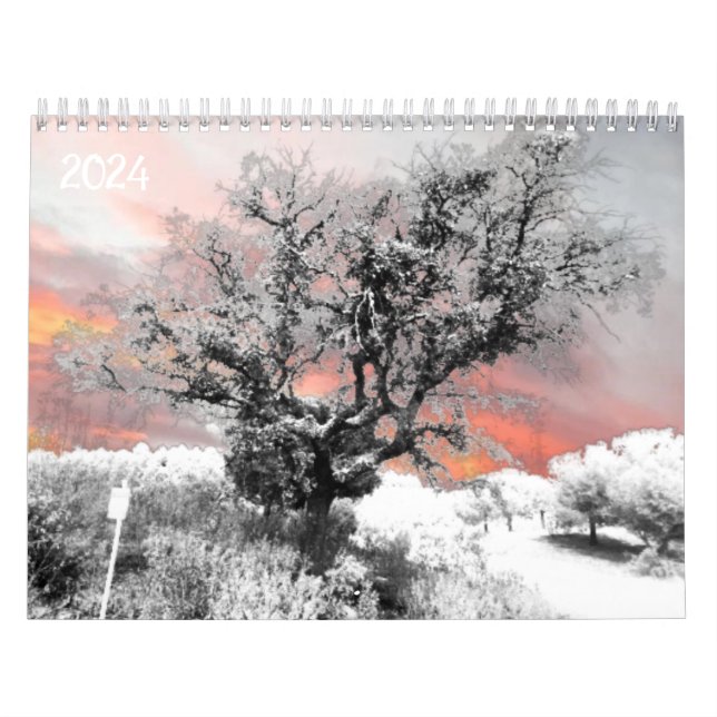 2024 Calendrier Planificateur art et design (Protection)