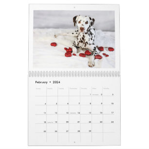 2024 Peace Love & Chocolate Dalmatien Calendrier