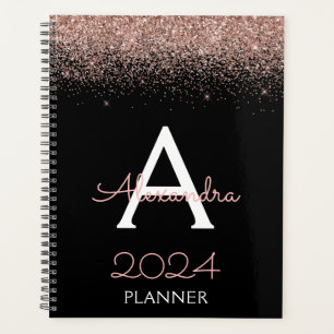 2024 Rose Gold - Rose Pâle et Noir Paillettes Mono