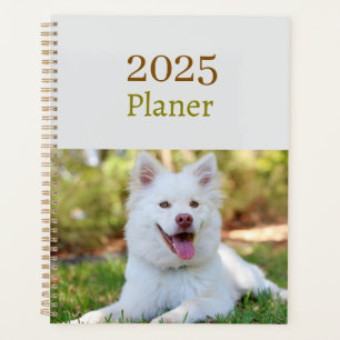 2025