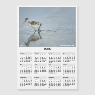 2025 5x7" Calendrier Magnet Hawaiian Stilt Aeo Chi