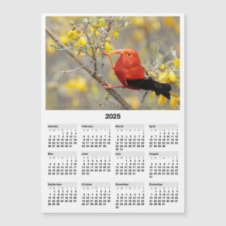 2025 5x7 Magnet Calendar Iiwi Oiseau hawaïen
