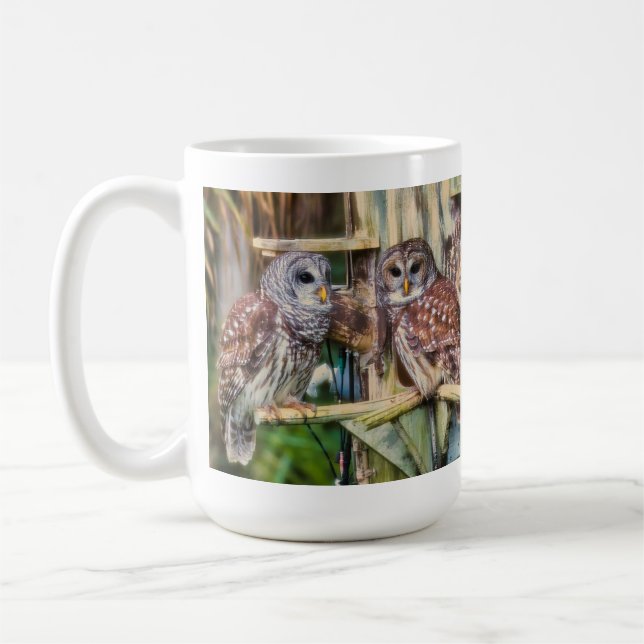 2025_Barred Owl Mug (Gauche)
