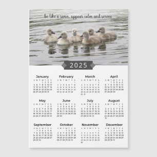 2025 Calendrier Cygne bébé - Magnet photo