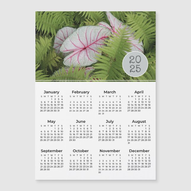 2025 Calendrier Ferns & Caladium Magnet photo (Devant)