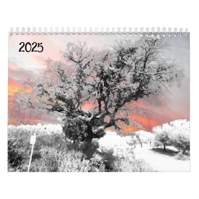 2025 Calendrier Planificateur art et design (Protection)