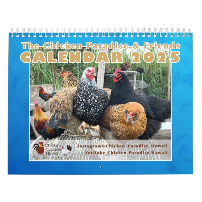 2025 Chicken Paradise Hawaii Calendrier de キ パ ダ   (Protection)