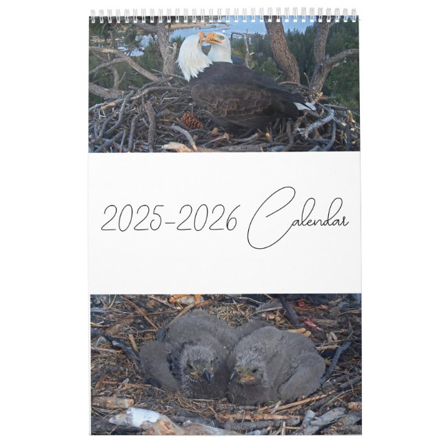 2025 Jackie & Shadow - Big Bear Eagles Calendrier  (Protection)