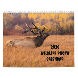 2025 Photo Faune Deux Page Calendrier Moyen