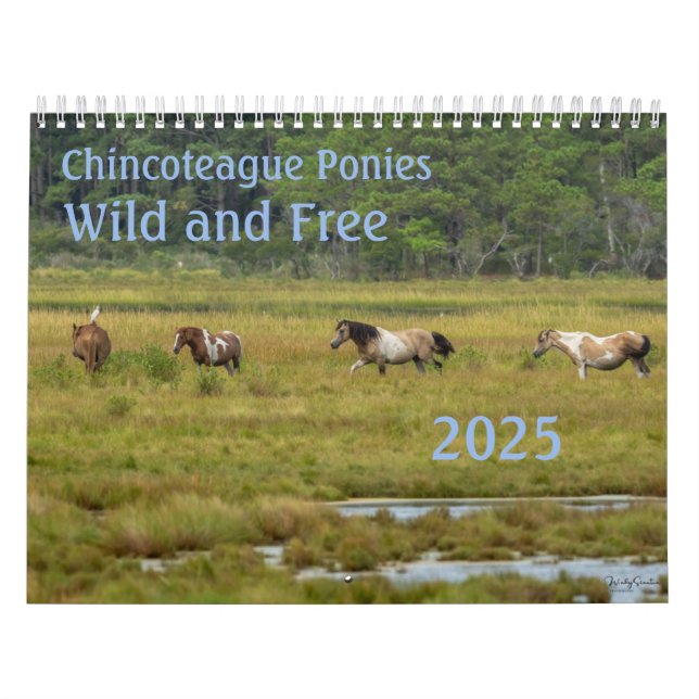 2025 Ponies Chincoteague Calendrier 18 mois (Protection)