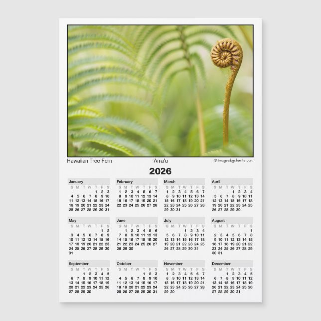 2026 5x7 Magnet Calendar Amau Hawaiian Fern (Devant)