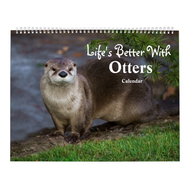 2026 Otters Up Close - Calendrier Courte-Claed (Protection)