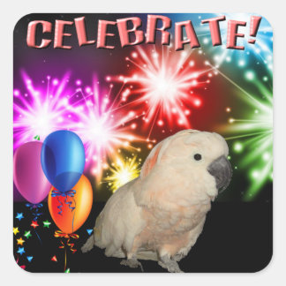 20 stickers Cockatoo Moluccan