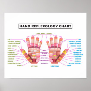 20" x 16", Poster de réflexologie manuelle