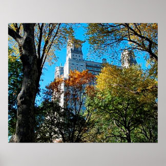 20" x 16", Value Poster Paper (Matte)