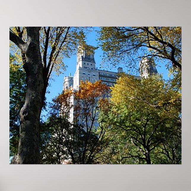 20" x 16", Value Poster Paper (Matte) (Devant)