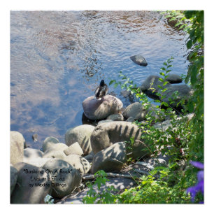 20" x 20", affiche (Semi-Lustre)