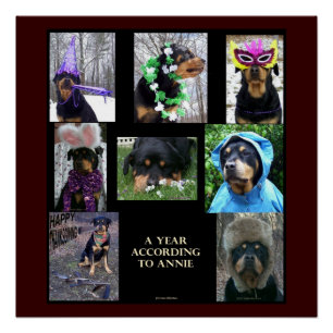 20 X 20" affiche "Une année selon Annie"