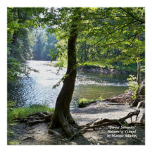 20" x 20", Poster (Semi-Gloss)