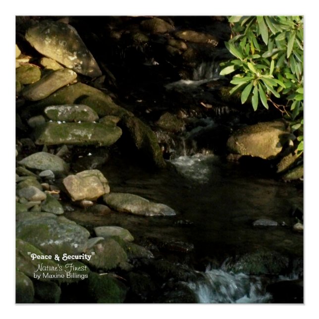 20" x 20", Poster (Semi-Gloss) (Devant)