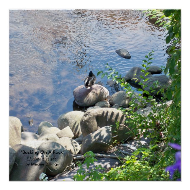 20" x 20", Poster (Semi-Gloss) (Devant)