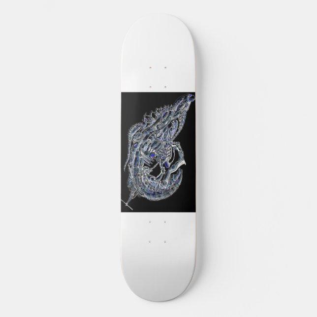21,6 cm Plateau de skateboard (Recto)