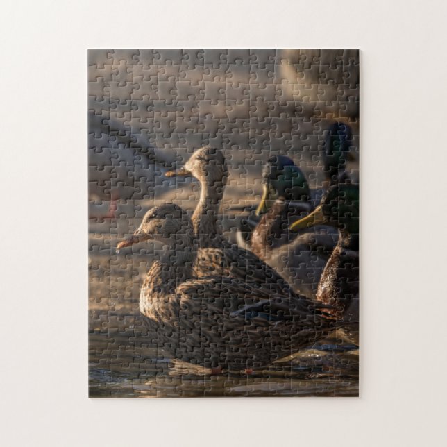 2318-Female Mallard Ducks in Pond Puzzle (Vertical)