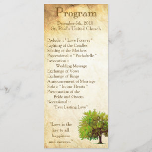 25 4x9 Programme de mariage Ressort Arbre vieilli 